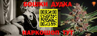 индика Лесосибирск