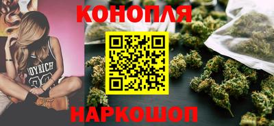 индика Лесосибирск