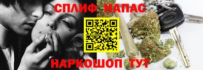 индика Лесосибирск
