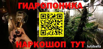 индика Лесосибирск