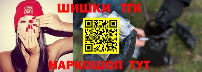 индика Лесосибирск