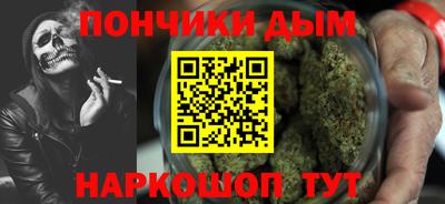 индика Лесосибирск