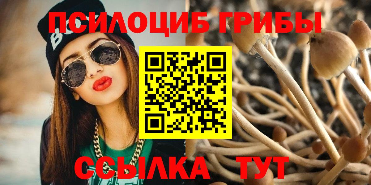 Псилоцибиновые грибы Cubensis  Псилоцибиновые грибы прущие грибы  Вход с VPN  Дубна 