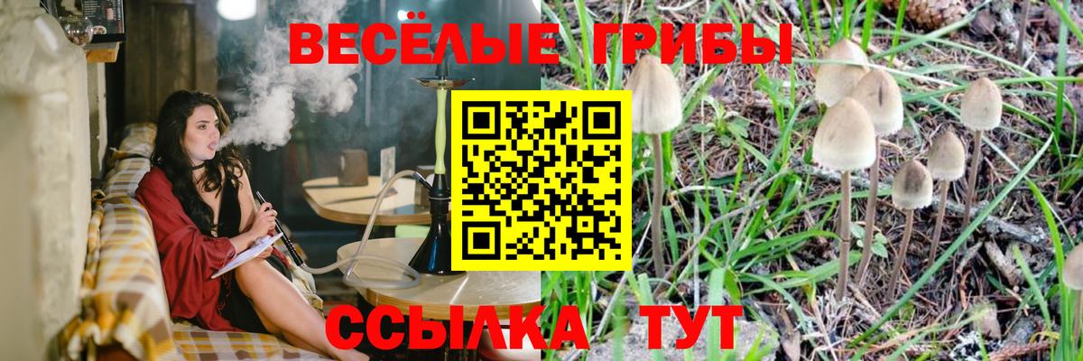 Галлюциногенные грибы Psilocybe Дубна